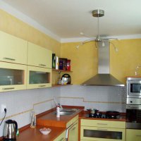 Arteco v kuchyni.jpg